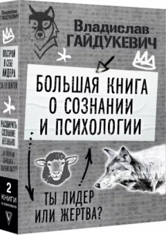 Владислав Гайдукевич: Большая книга о сознании и психологии. Ты лидер или жертва?