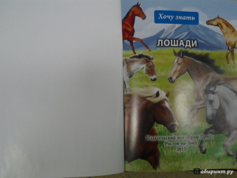 Леся Калугина: Хочу знать. Лошади