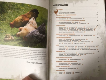 Фрэнсис Бэссом: Курочки. Популярные породы и содержание. Иллюстрированная энциклопедия