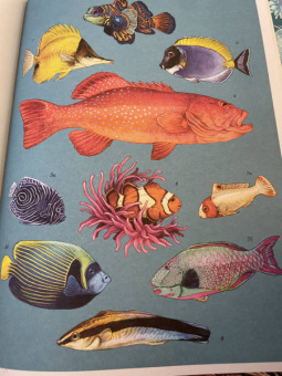 Лавдэй Триник: Океанариум