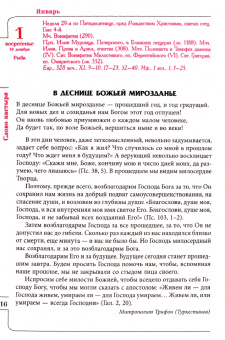 Православный календарь на 2023 год. Целебник