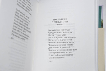 Баратынский, Дельвиг, Вяземский: Поэты пушкинской поры