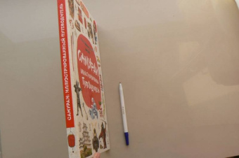 Александр Гордиенко: Самураи:  иллюстрированный путеводитель