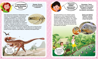 Кэти Франко: Правда или нет? 100 вопросов и ответов в картинках