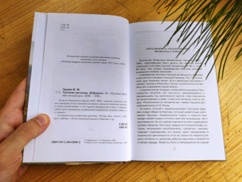 Всеволод Гаршин: Турецкие рассказы. Избранное