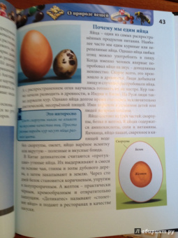 Оксана Балуева: Энциклопедия для любознательных