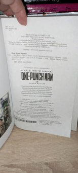 ONE: One-Punch Man. Книга 12