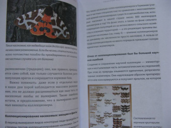 Зегерер, Розенкранц: Великая гибель насекомых. Что это значит и что нам с этим делать