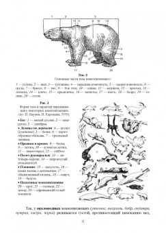 Виктор Машкин: Биология промысловых зверей России. Учебник для СПО