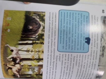 Ярослава Соколова: Хочу знать. Медведи