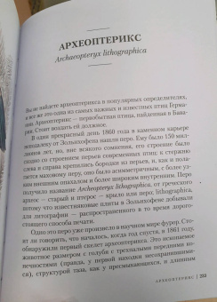 Ульрих Шмид: Птицы. Крылатые чудеса природы