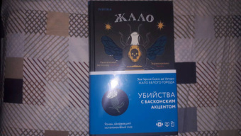 Гарсиа Саэнс де Уртури Эва: Жало белого города