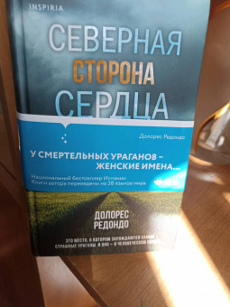 Долорес Редондо: Северная сторона сердца