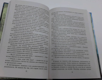 Белянин, Атамашкин: Взять Чумазого!