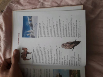 Людмила Соколова: Что? Где? Почему?