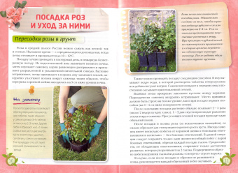 Анна Белякова: Розы. Посадка. Уход. Обрезка