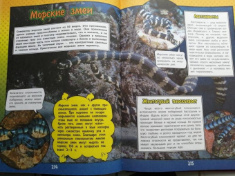 Ликсо, Кошевар: О подводном мире