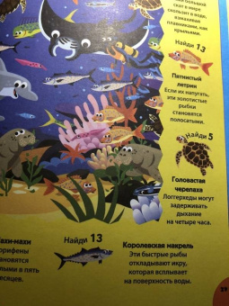 Мэтью Скотт: Ныряй в океан!
