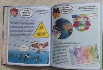 Кэти Франко: Почему? 100 вопросов и ответов в картинках