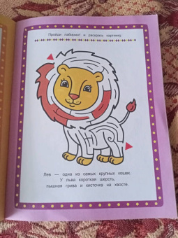 Весёлый зоопарк. Книжка-раскраска