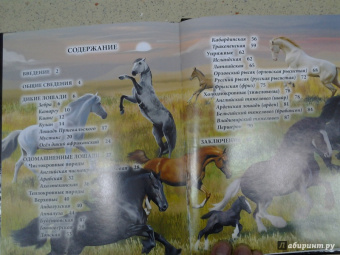 Леся Калугина: Хочу знать. Лошади