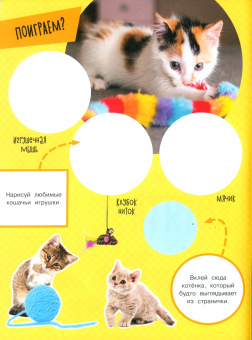 Зверята + наклейки. Котята