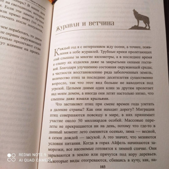 Петер Воллебен: Тайные связи в природе