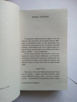 Иоганн Гете: Страдания юного Вертера