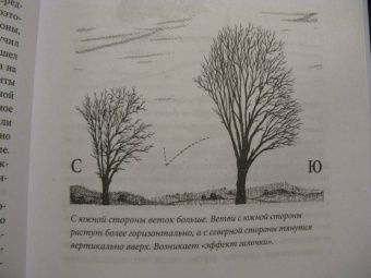 Тристан Гули: Компас внутри. Как не заблудиться в лесу, выследить животных, предсказать погоду