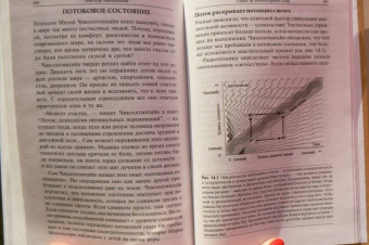 Венгер, По: Фактор Эйнштейна, или Как развить феноменальную память и скорость чтения