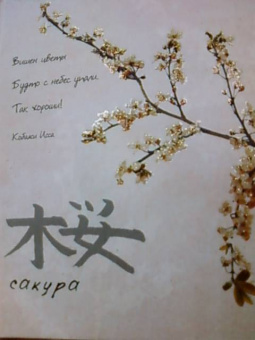 Сакура
