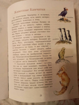 Анастасия Кудряшова: Камчатка. Снежная и огненная