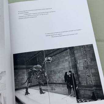 Евгений Водолазкин: Краткая история Цивилизации