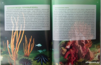 Ольга Тяжлова: Удивительные животные