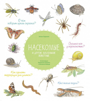 Натали Торджман: Насекомые и другие маленькие животные