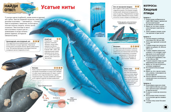 Гиффорд, Варлей, Мейсон: Интерактивная энциклопедия для школьников