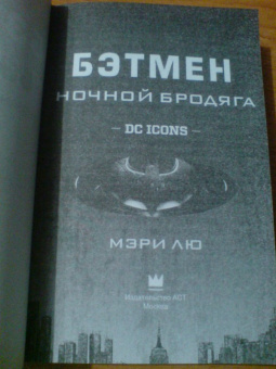 Мэри Лю: Бэтмен. Ночной бродяга