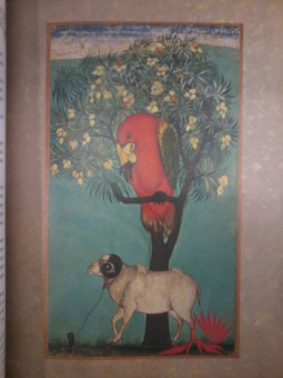 Индийские сказки