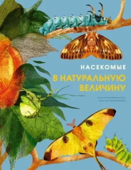 Вальтер Фогато: Насекомые в натуральную величину