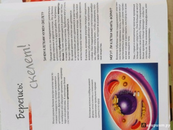 Боэрле, Ланда: Путешествие в мир клетки. Нескучная наука