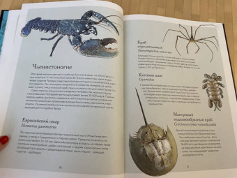 Бен Ротери: Океан и его обитатели