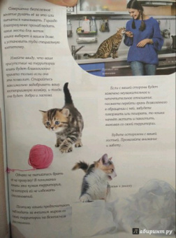 Ольга Соколова: Домашние питомцы и кто за них в ответе…