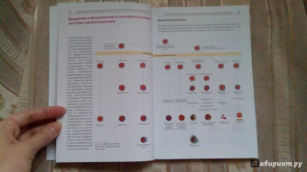 Тэмл, Диам, Хаверлах: Атлас по гематологии