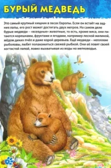Первая энциклопедия дошкольника. Животные мира