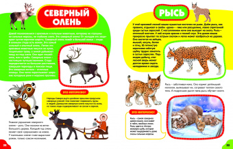 Анна Забирова: Животные для самых маленьких