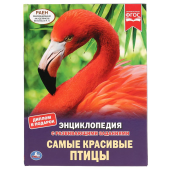 : "УМКА". САМЫЕ КРАСИВЫЕ ПТИЦЫ (ЭНЦИКЛОПЕДИЯ А4 С РАЗВИВАЮЩИМИ ЗАДАНИЯМИ). ТВЕРДЫЙ ПЕРЕПЛЕТ в кор.15шт