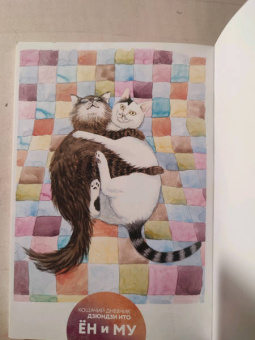 Дзюндзи Ито: Кошачий дневник