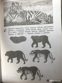 Анна Предит: Изобразительное искусство. Мы раскрасим целый свет 4 класс. Тетрадь для внеурочной деятельности