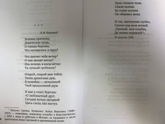 Сергей Есенин: Исповедь хулигана. Стихотворения и поэмы