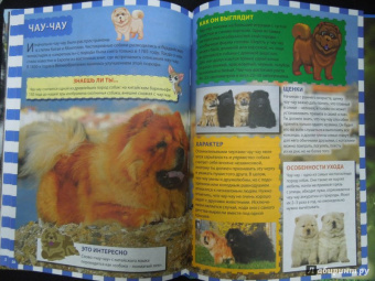 Собаки и щенки